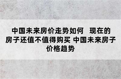 中国未来房价走势如何   现在的房子还值不值得购买 中国未来房子价格趋势